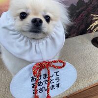 画像4080