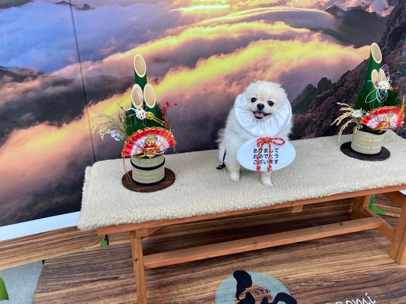 画像4083