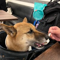 画像4101
