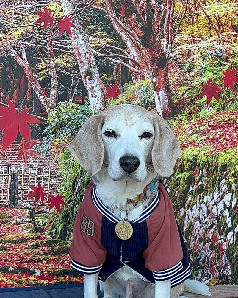 画像41476