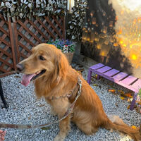 画像41548