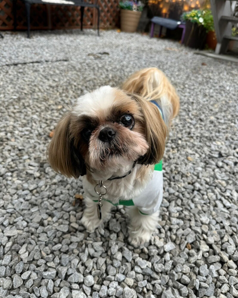 画像41742