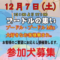 画像41745