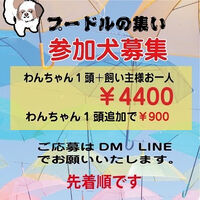 画像41746