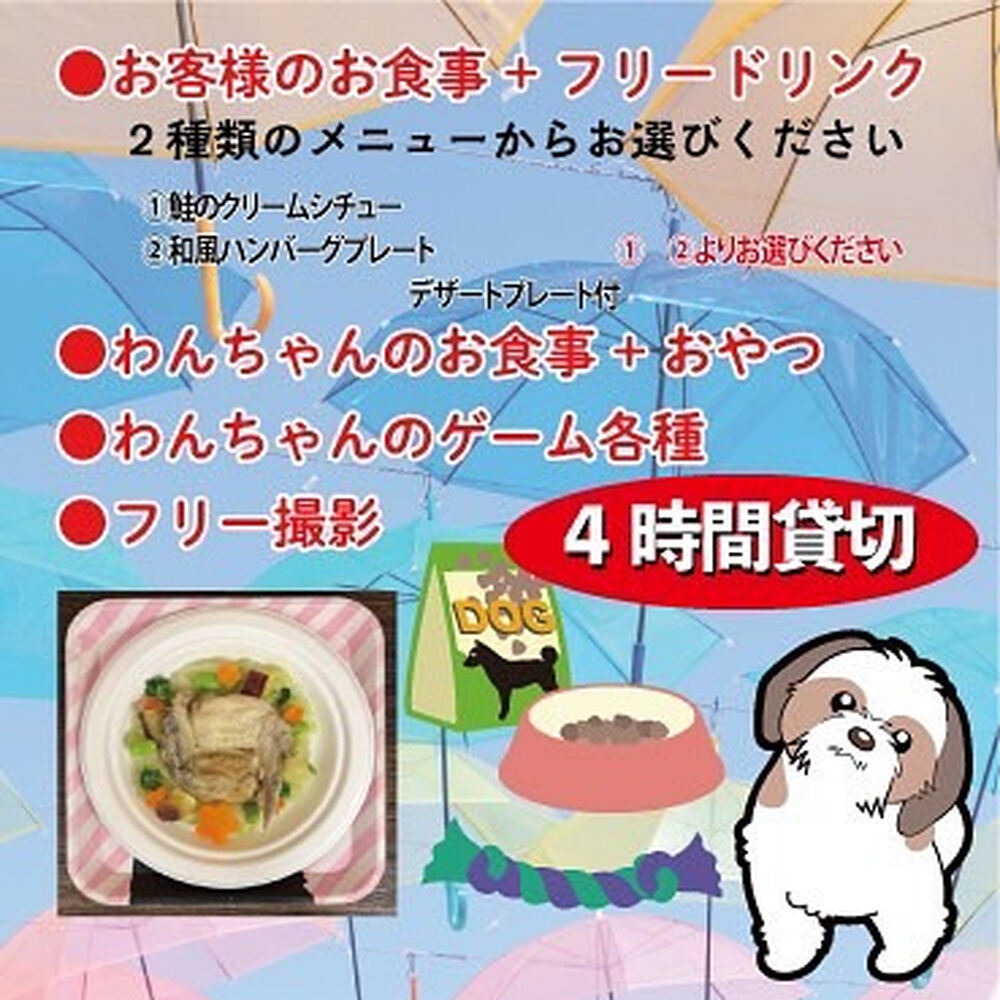 画像41747
