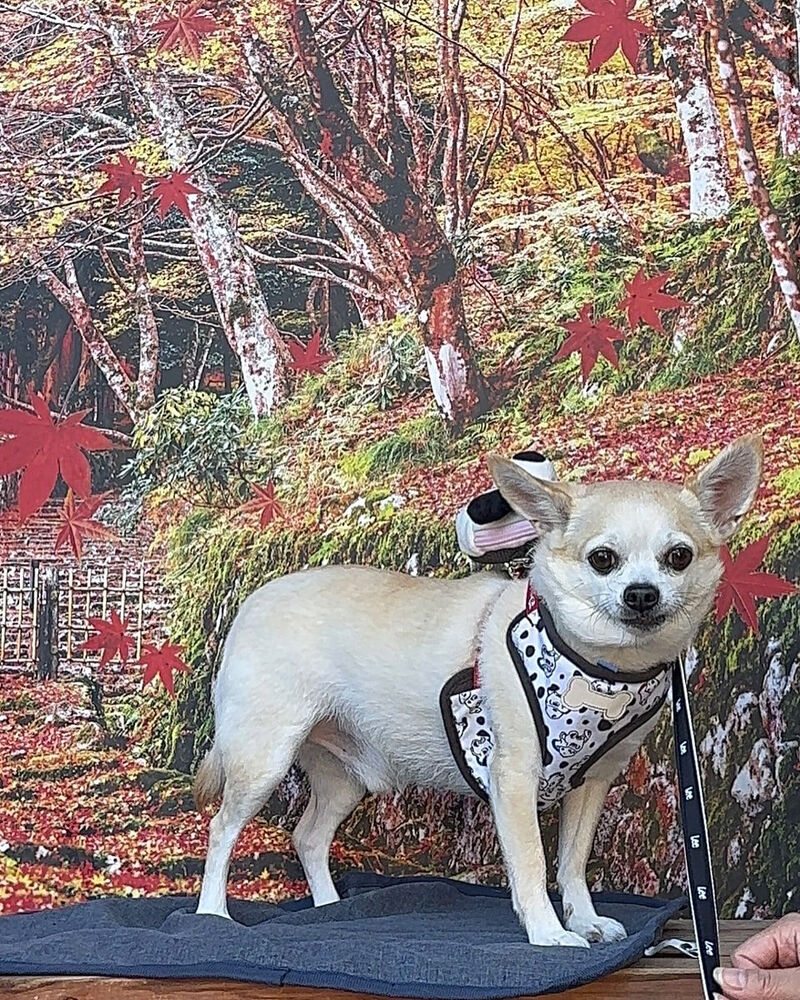 画像41805