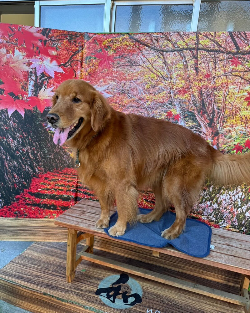 画像41825
