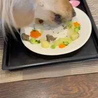 画像41899