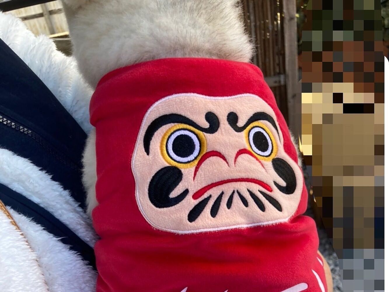 画像4191