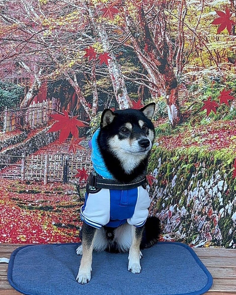 画像42094