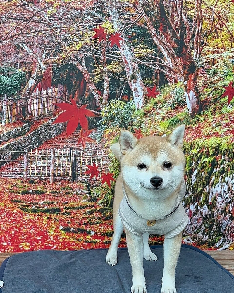 画像42125