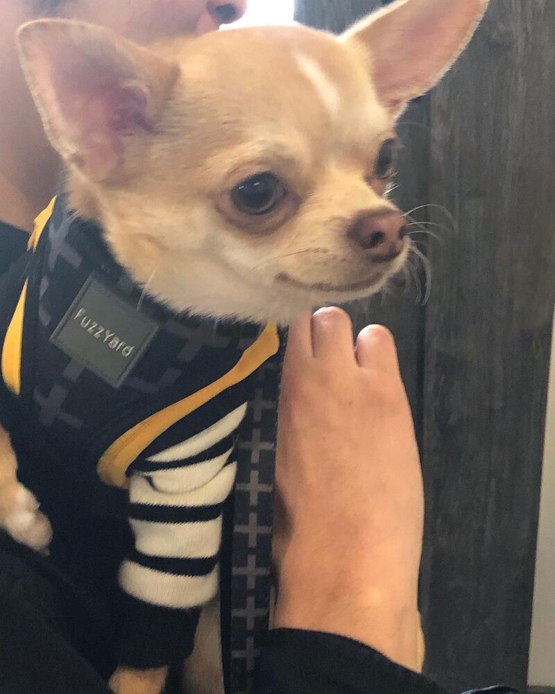 画像4247