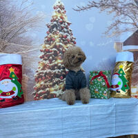 画像42523