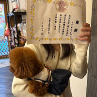 画像42634