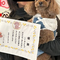 画像42635