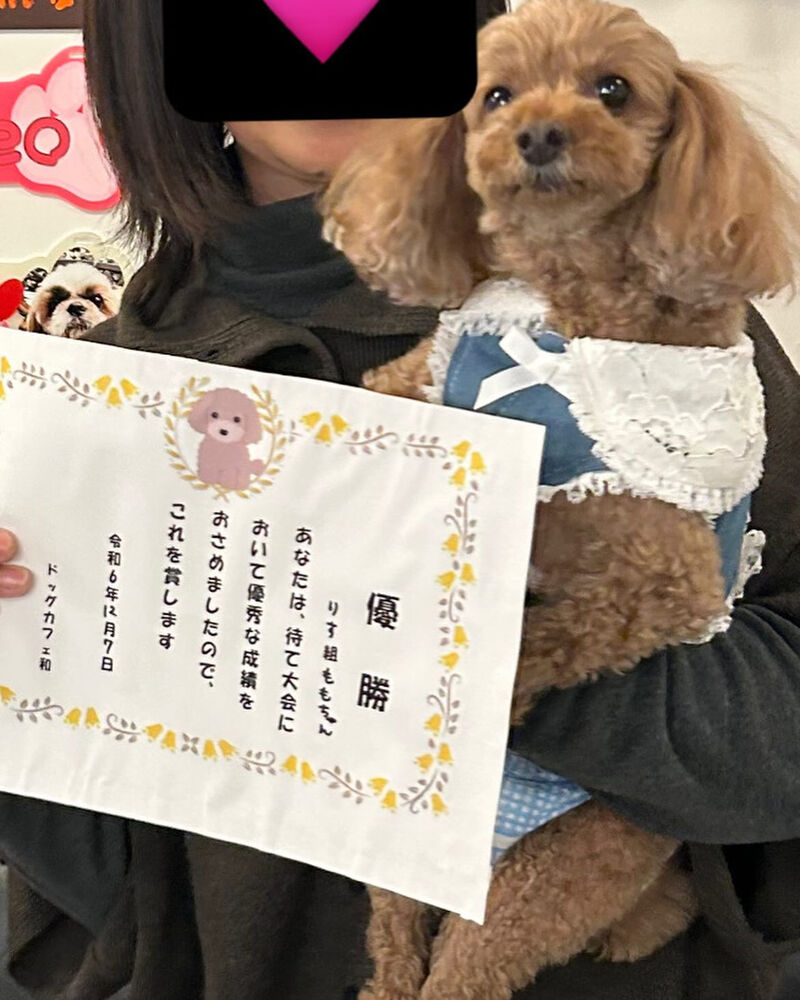 画像42635