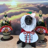 画像4277