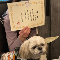 画像42917