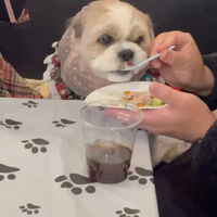 画像42932