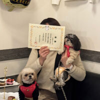 画像42959
