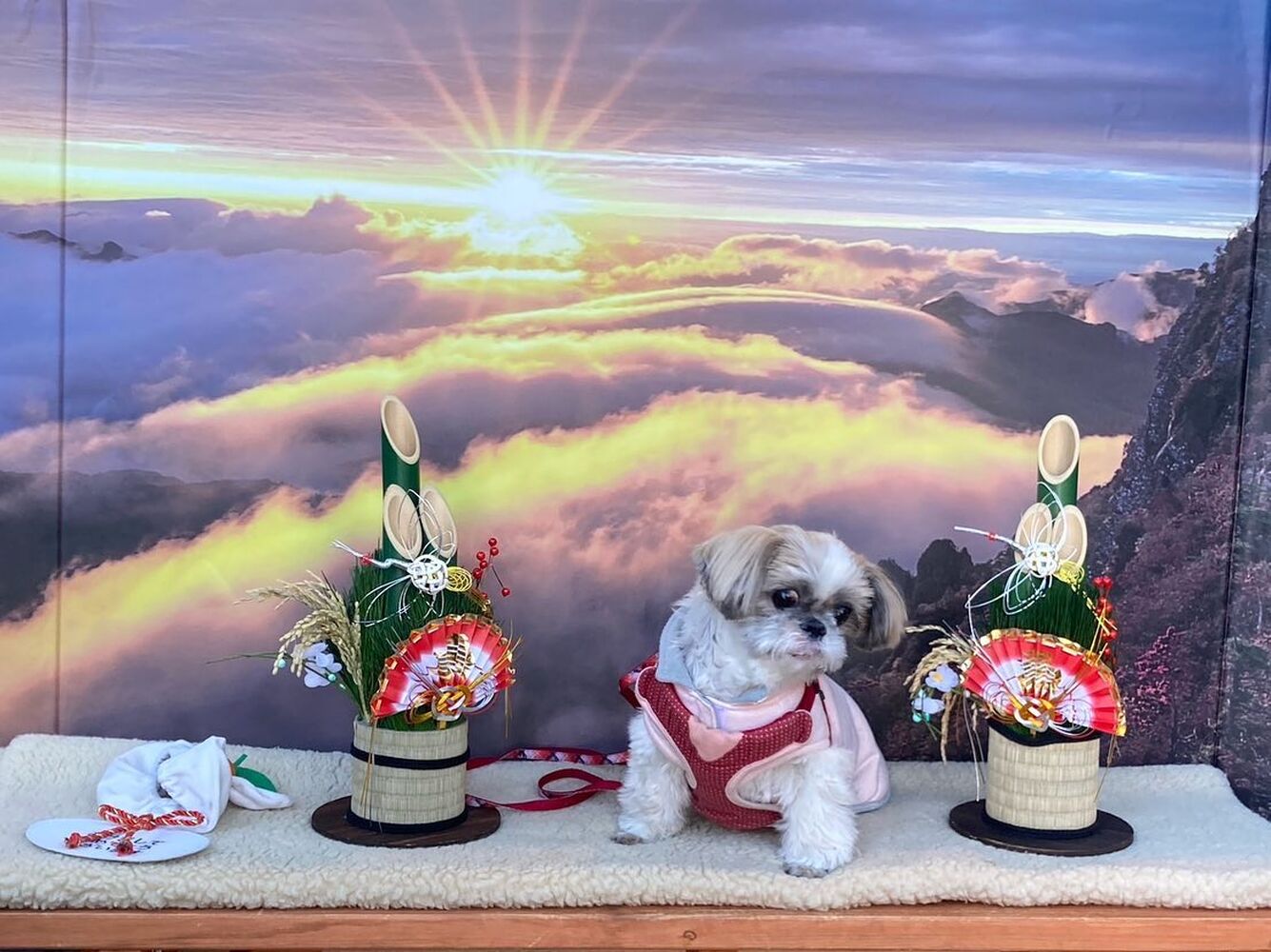 画像4296