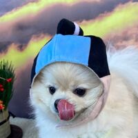 画像4377