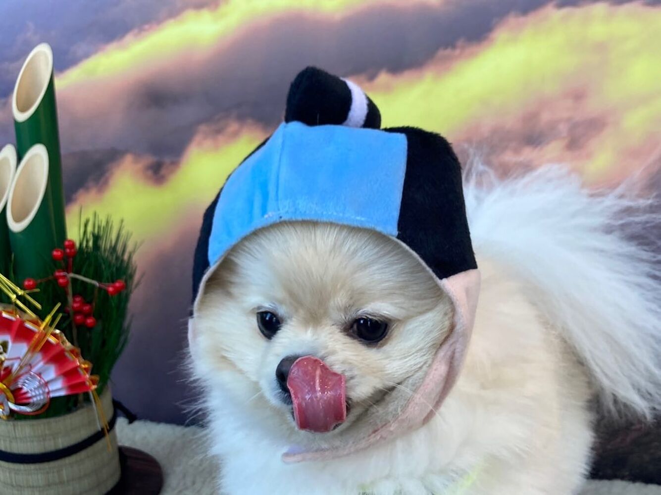 画像4377