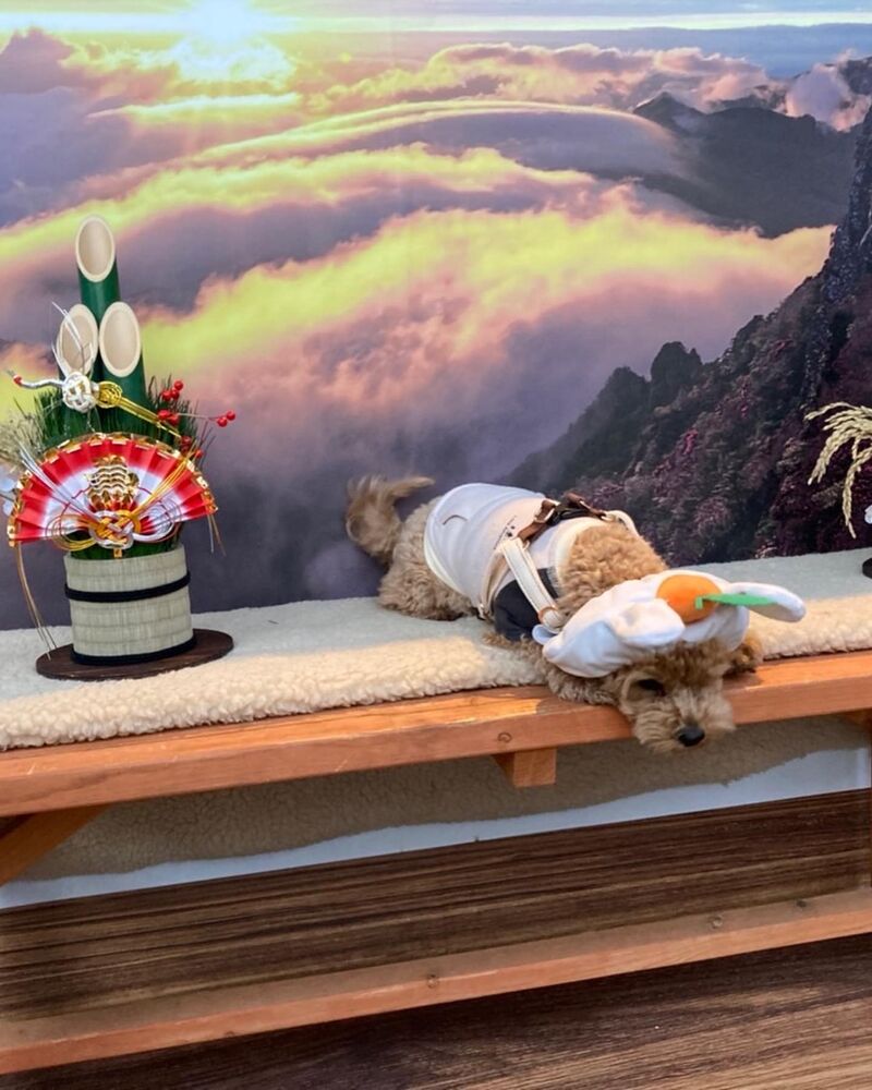 画像4420