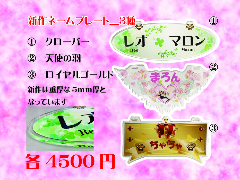 画像44840
