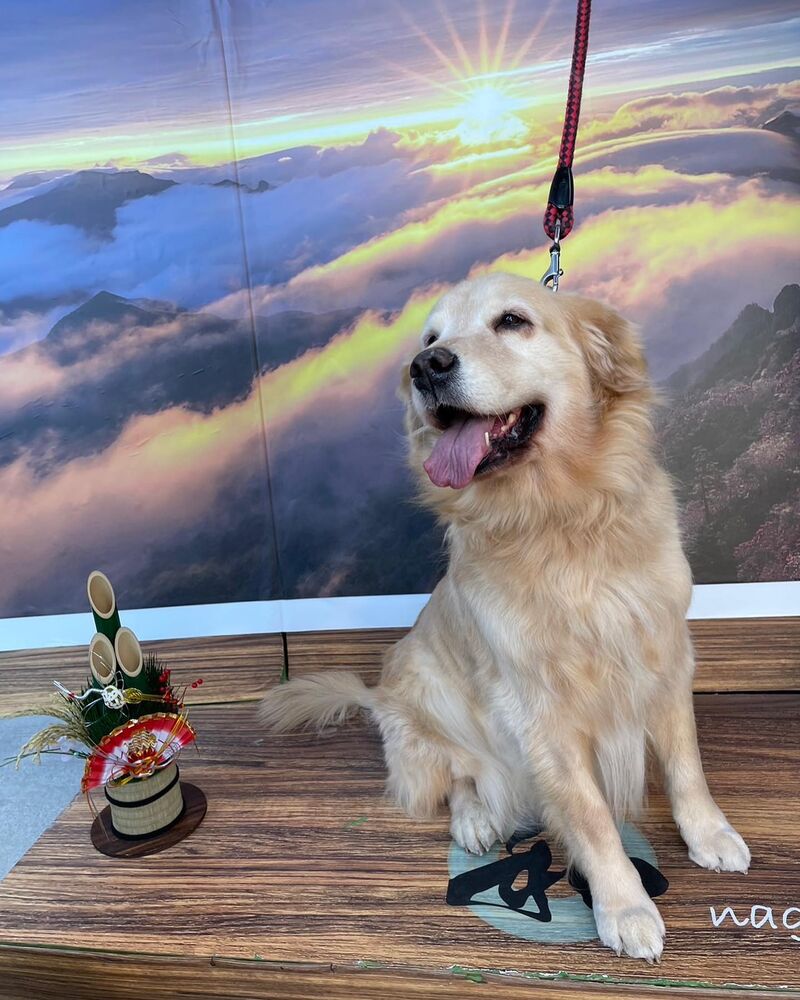 画像4529