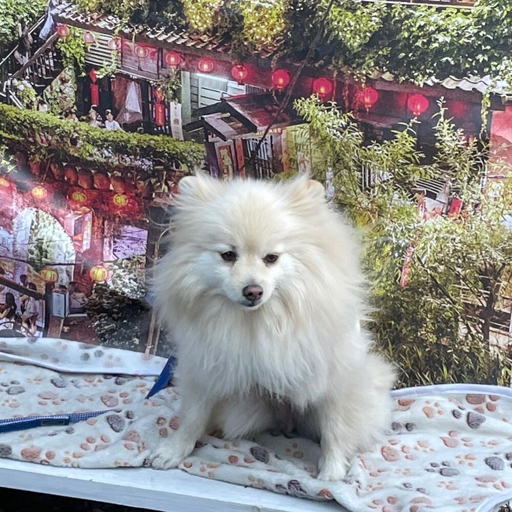 画像5586