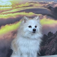 画像5675