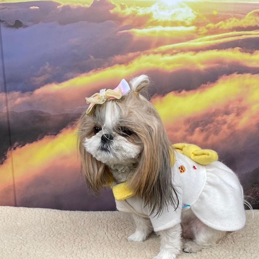 画像5695