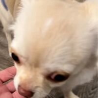 画像5766