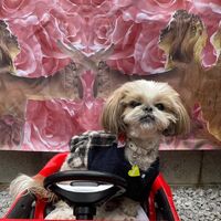 画像5824