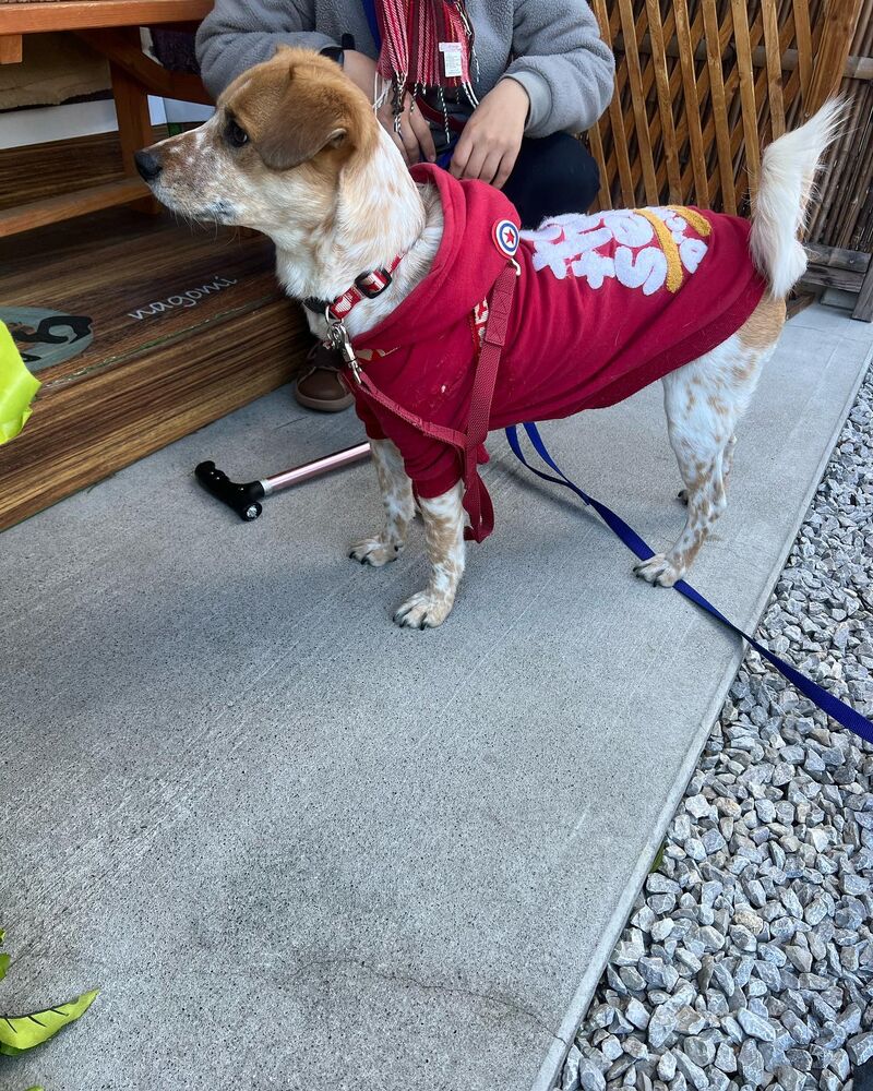 画像5843