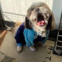 画像5861