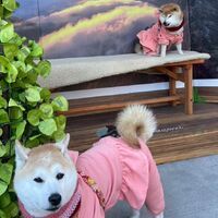 画像5868