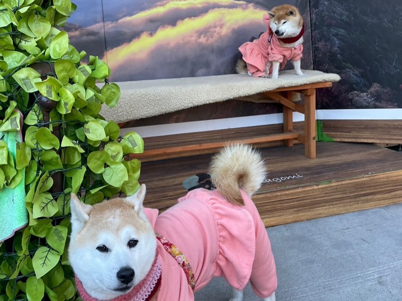 画像5868