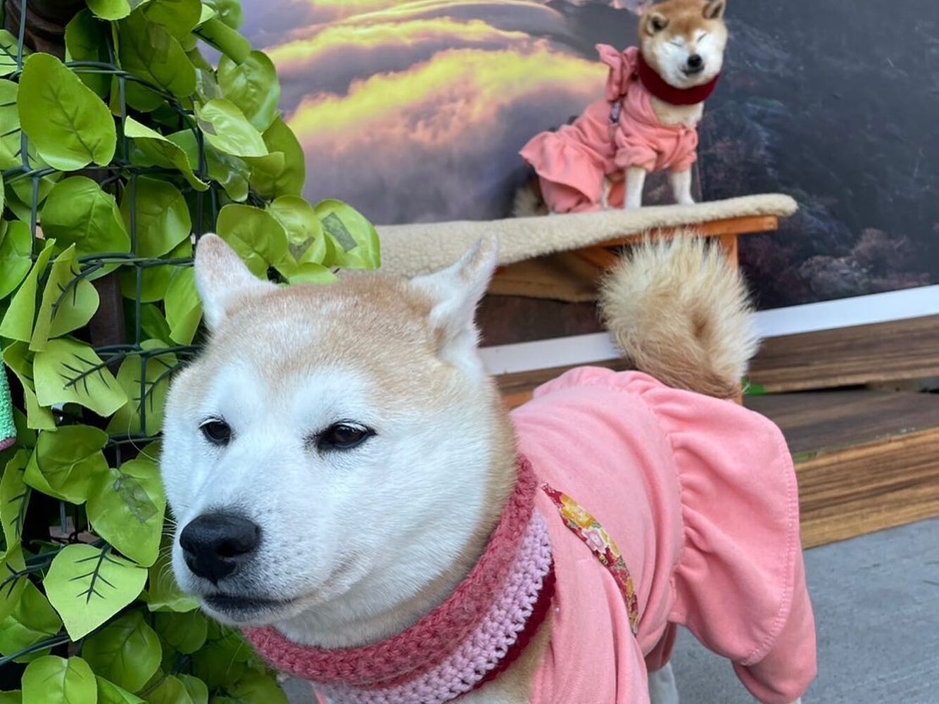 画像5869