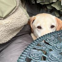画像5938