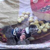 画像6120