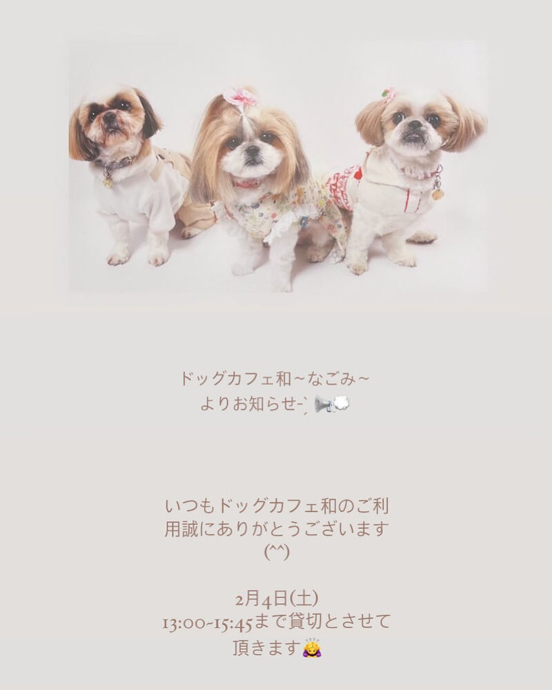 画像6346