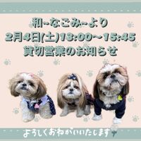 画像6391