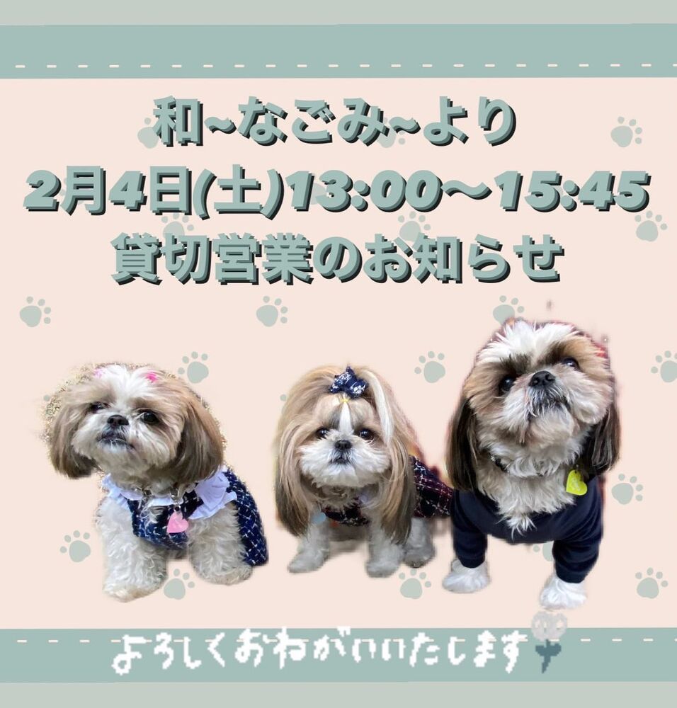 画像6391