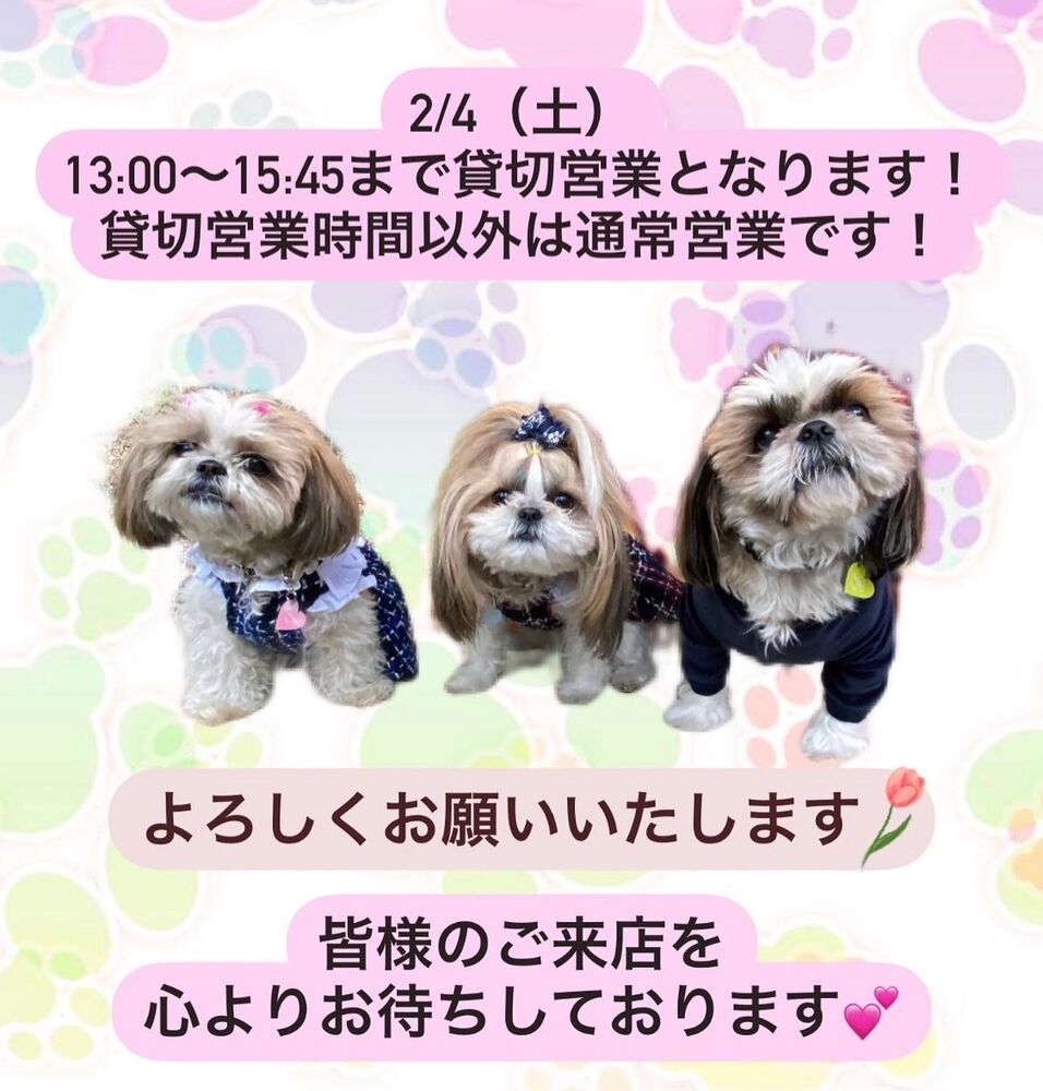 画像6392