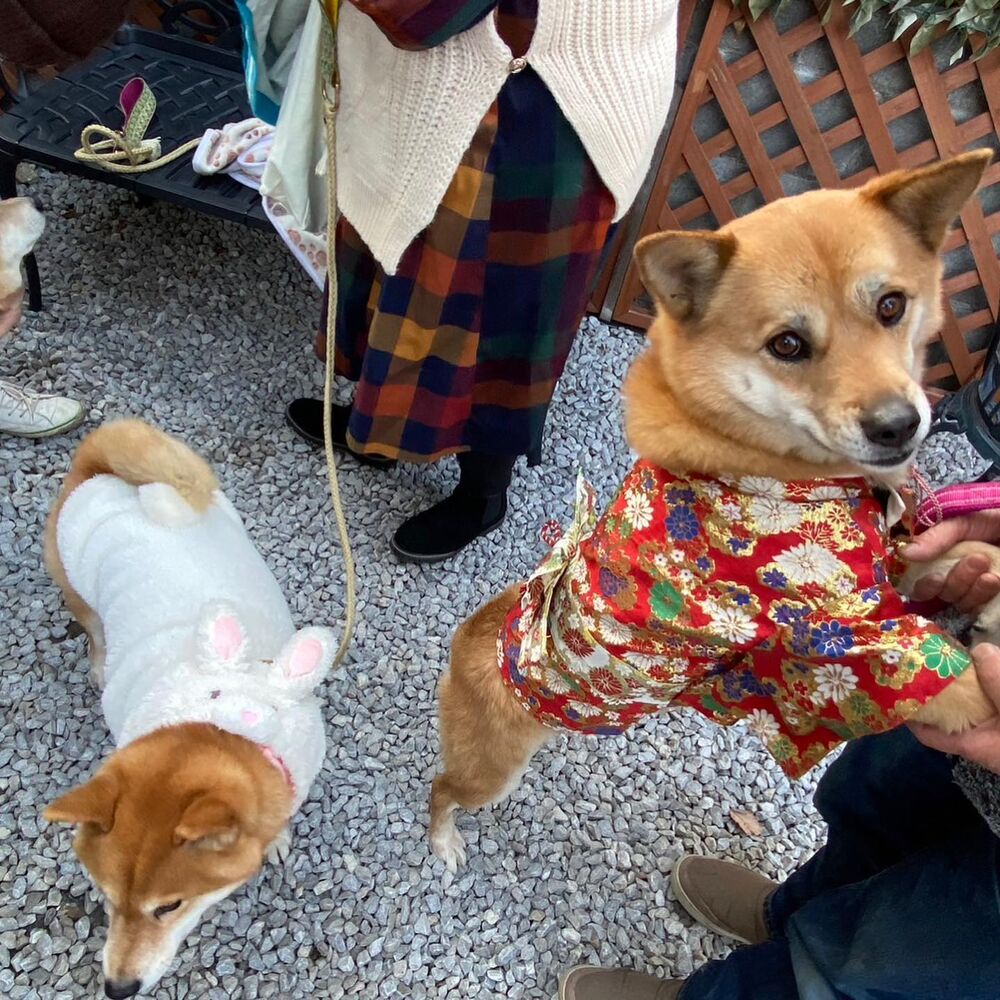 画像6485