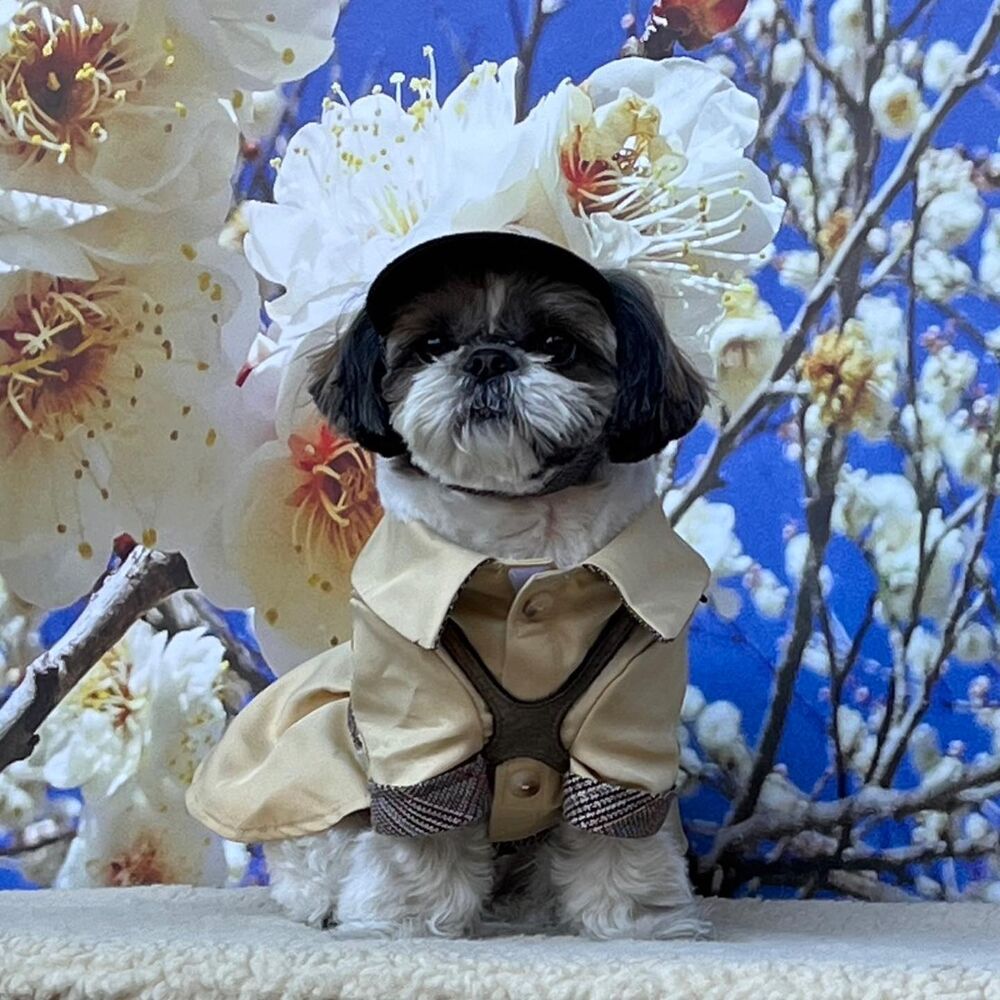 画像6566