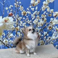 画像6577
