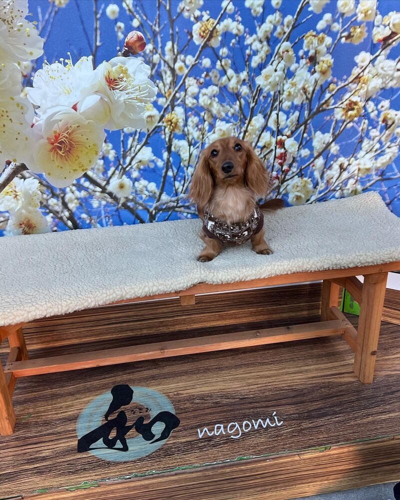 画像6646